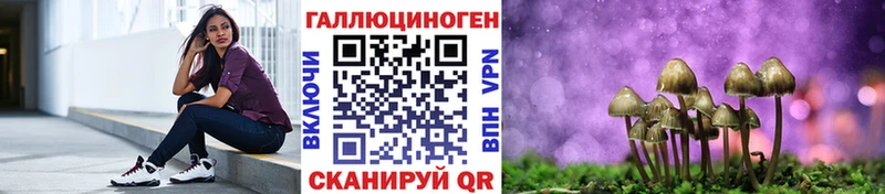 закладка  блэк спрут ONION  Псилоцибиновые грибы Psilocybine cubensis  Кущёвская 